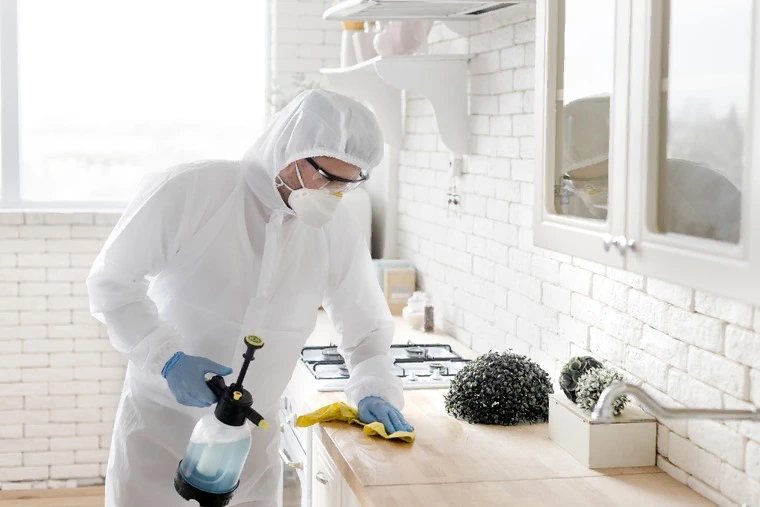 Pest Control Services