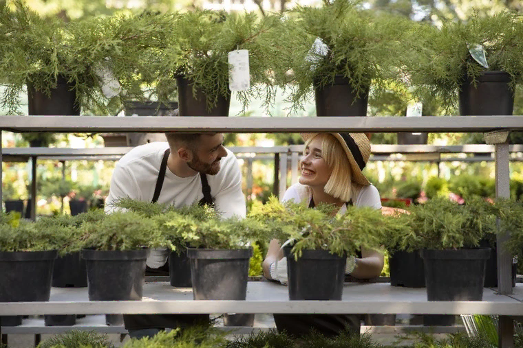 Garden Design Services