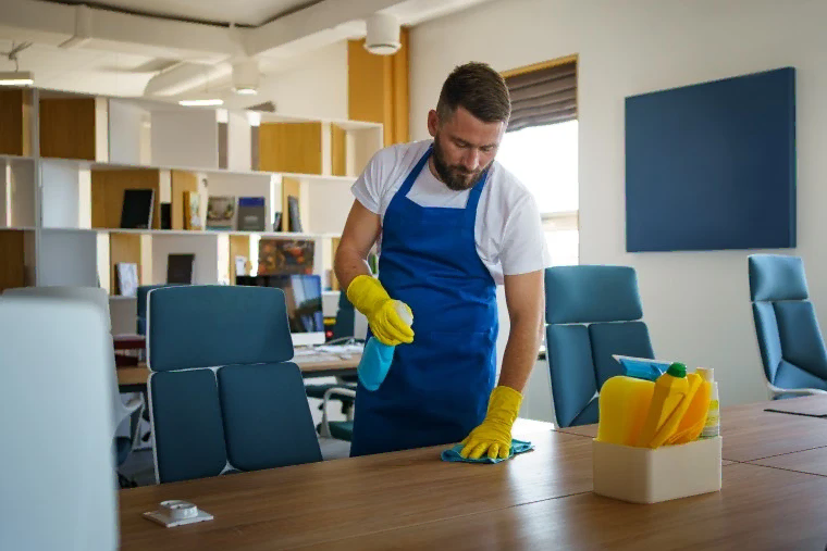professional cleaning services