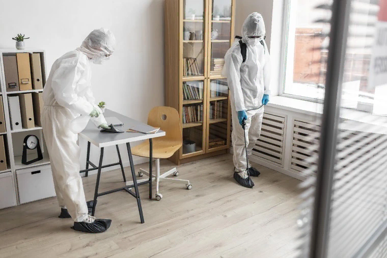 pest control service near me