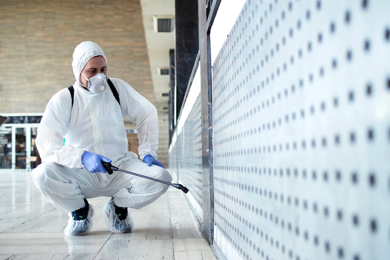 pest control service