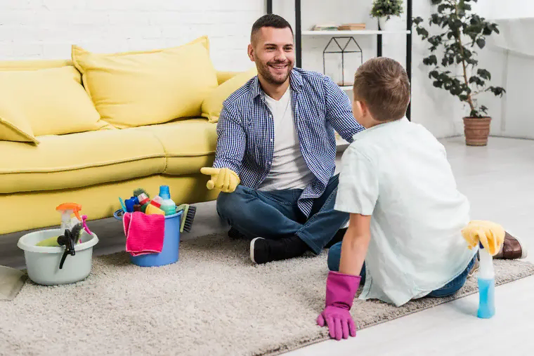 Carpet and Upholstery Cleaning