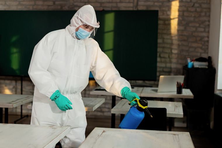 pest control services