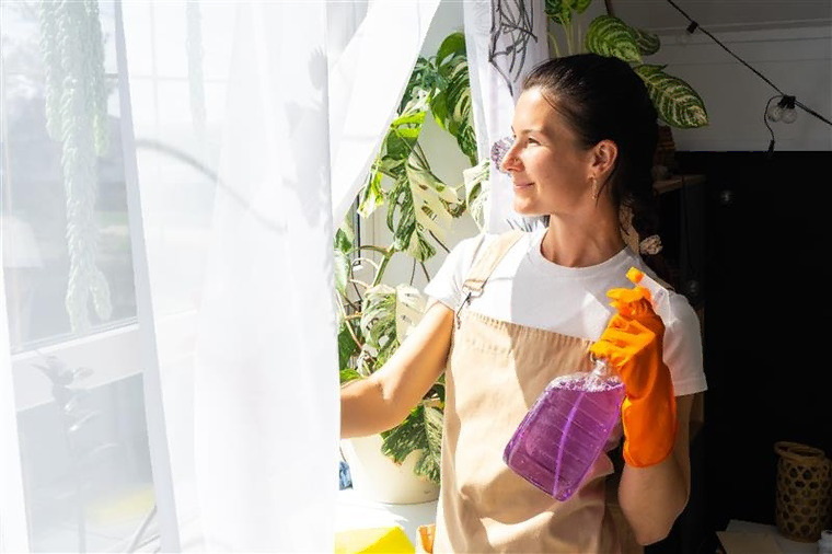 Cleaning and Handyman Service